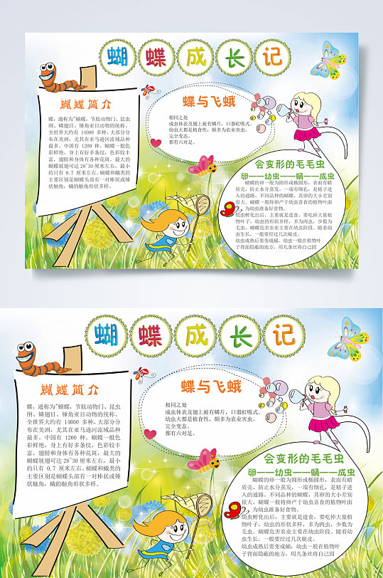 捕蝴蝶昆虫记小报word