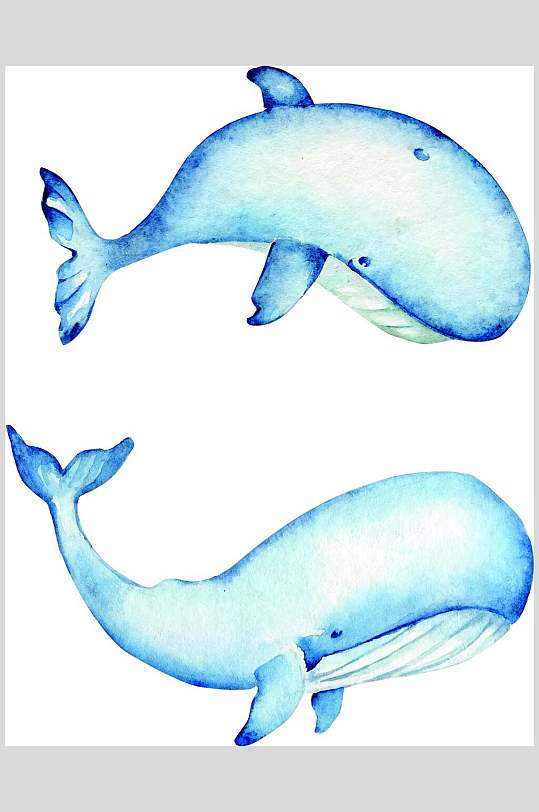 可爱动物插画唯美创意鲸鱼卡通可爱动物插画鲸鱼可爱手绘动物矢量插画