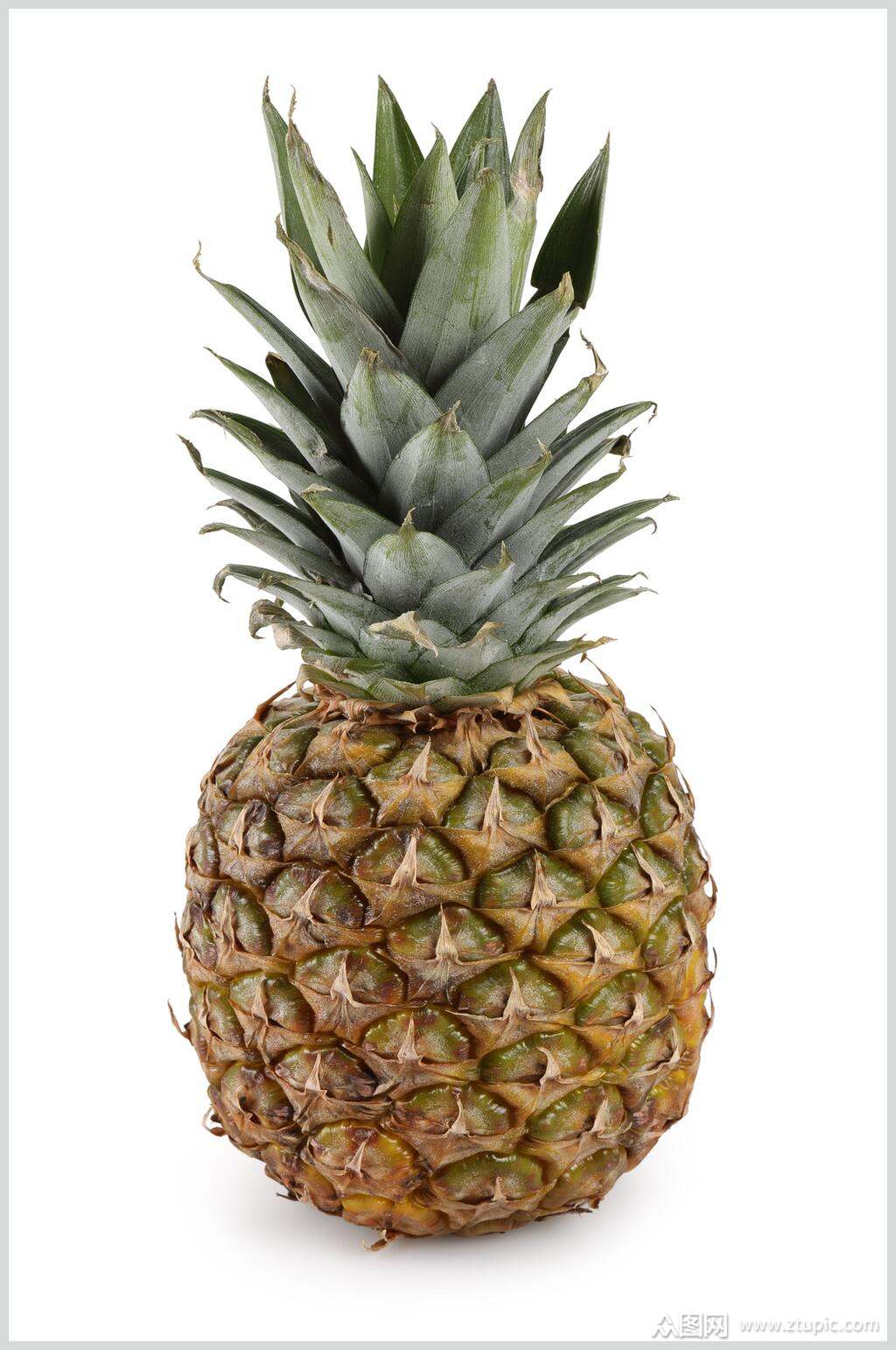 精品菠萝水果摄影图片素材