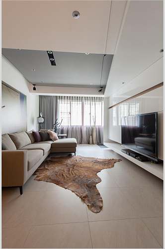 沙发地毯个性高级北欧风格室内图片