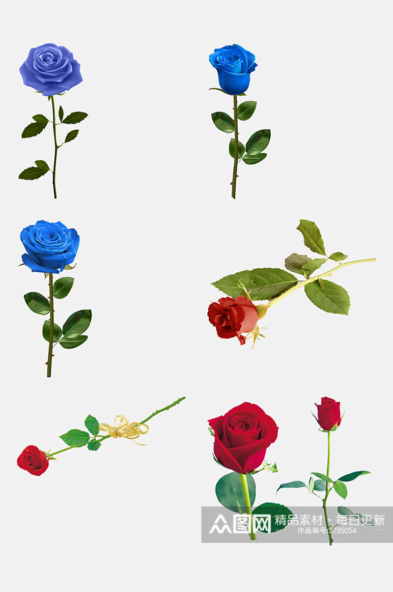 清新蓝色植物玫瑰花免抠素材素材