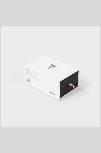 图标白色高端方形饰品包装盒样机