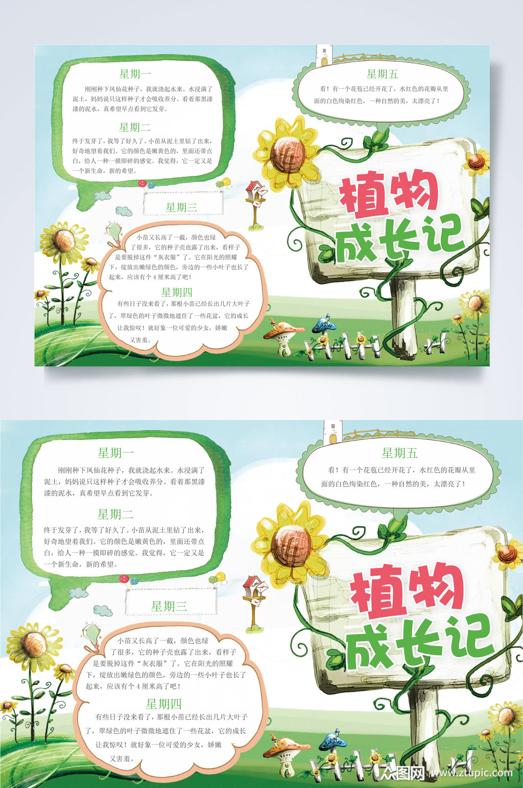 植物生长记录小报word素材