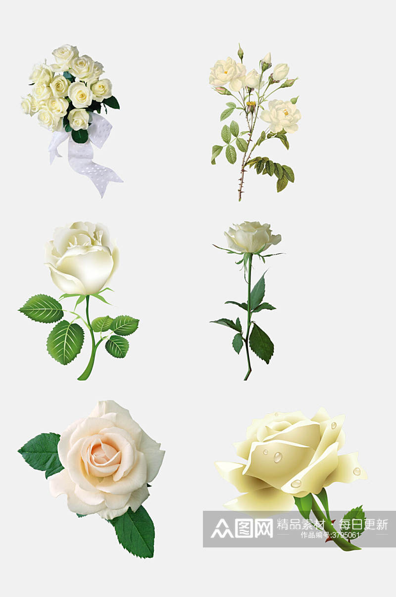 白色玫瑰花朵免抠素材素材