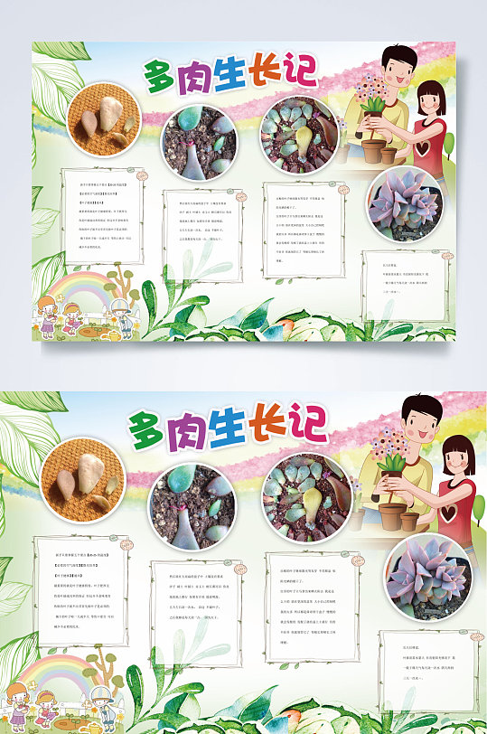生长记多肉成长小报word