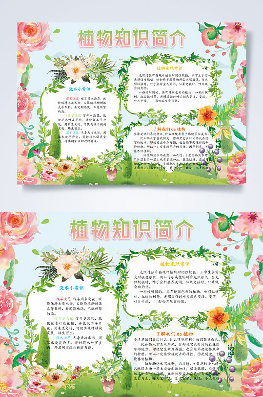 内容简介朝花夕拾古风朝花夕拾小报word植物知识简介植物常识小报word