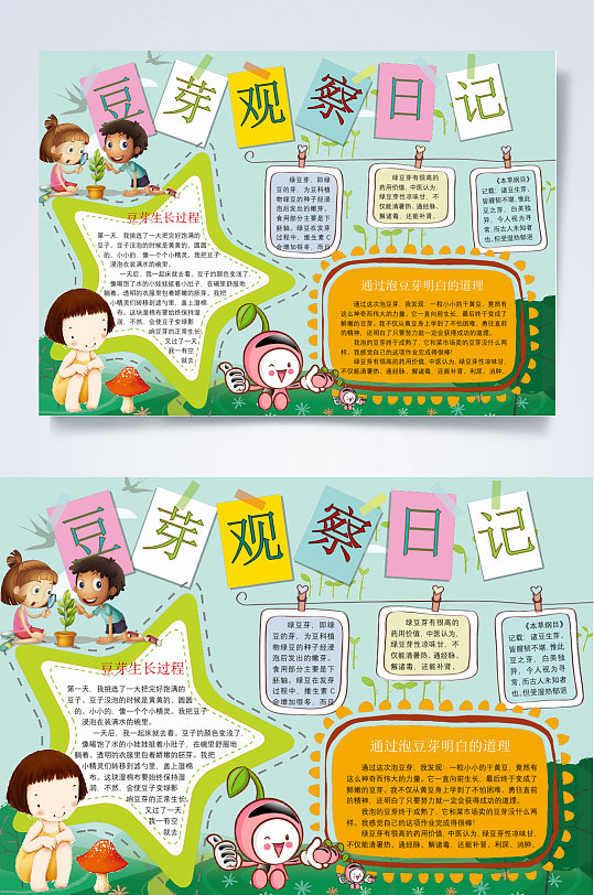 豆芽观察日记植物生长小报word