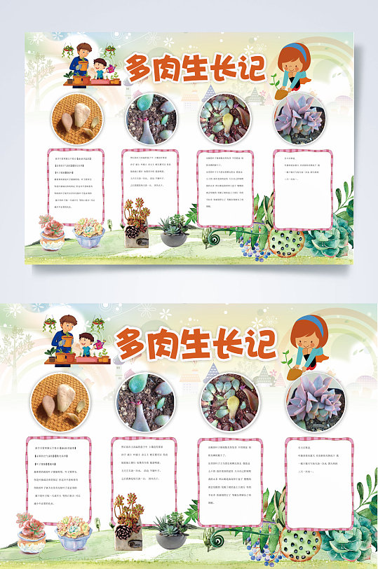 多肉生长记植物生长小报word