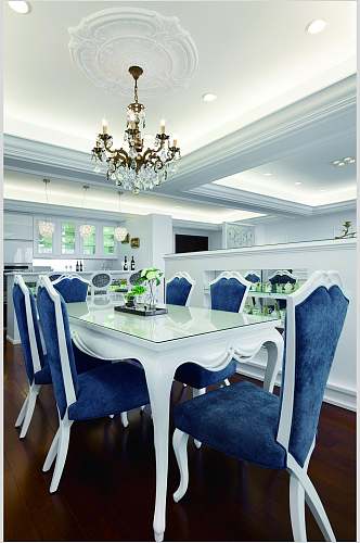 时尚餐桌植物蓝法式别墅样板间图片