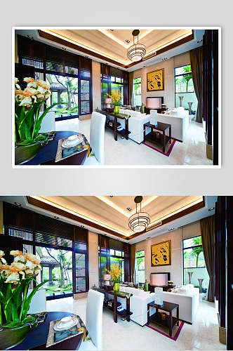花卉客厅透光东南亚风格样板房图片
