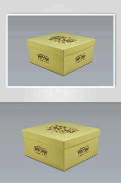 黄灰盒子高端大气鞋盒包装样机