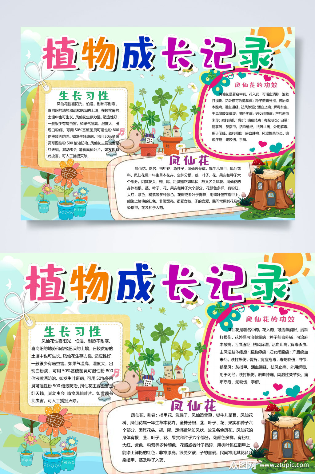 多彩小清新植物成长记录植物生长小报word素材