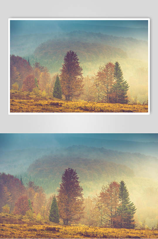 油画秋天枯黄薄雾森林图片