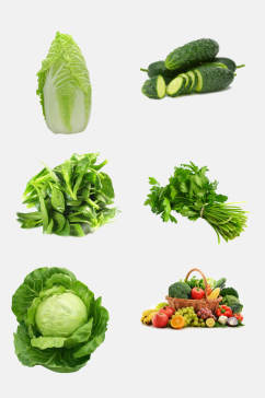 创意青瓜各种蔬菜免抠素材