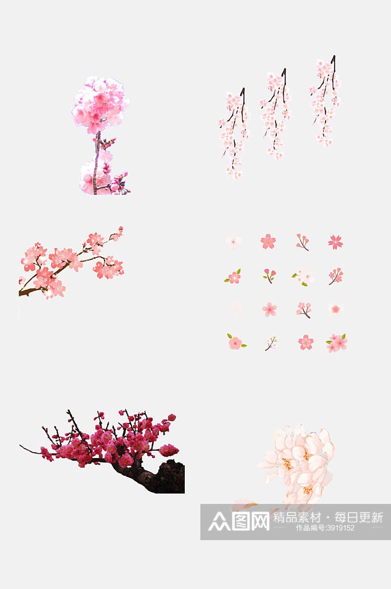 可爱唯美桃色樱花花朵手绘免抠素材素材