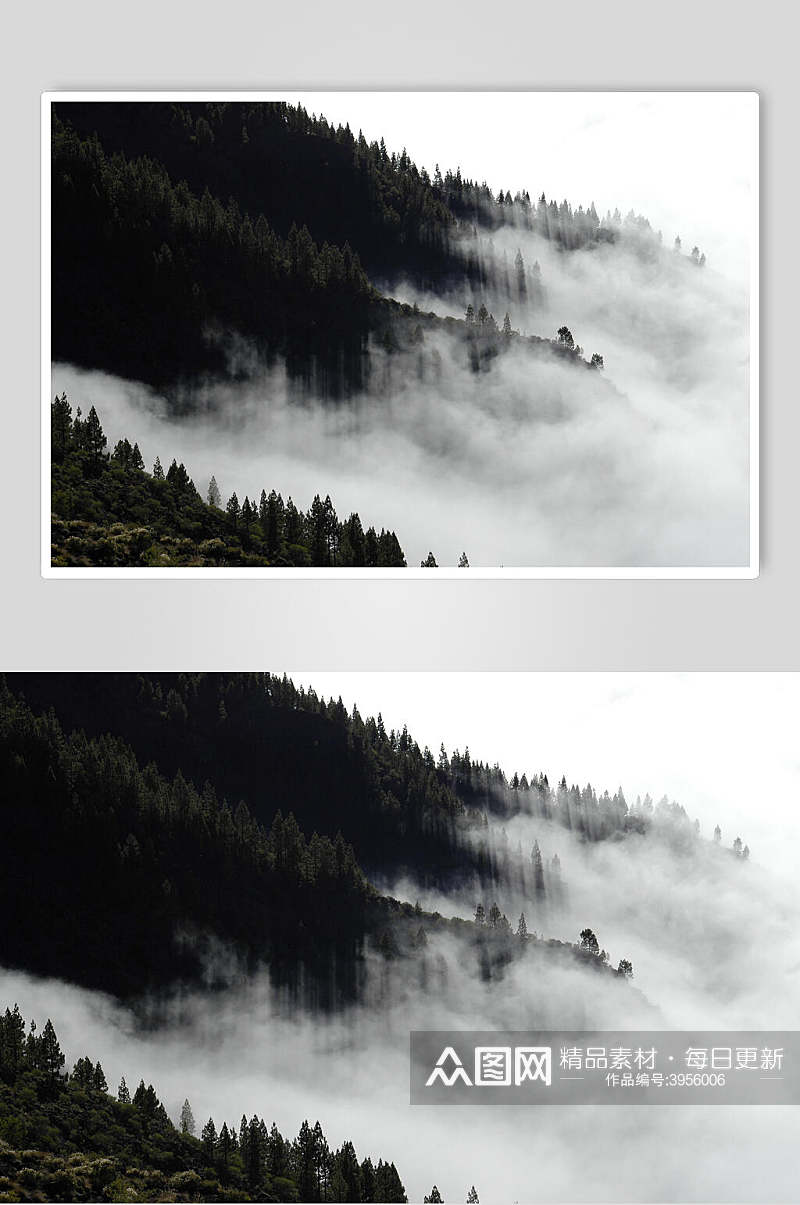 意境清新白云天空简约薄雾森林图片素材