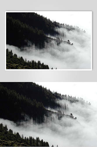 意境清新白云天空简约薄雾森林图片
