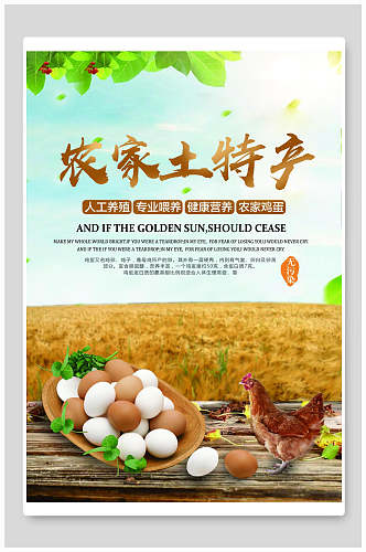 农家土鸡蛋土特产宣传海报