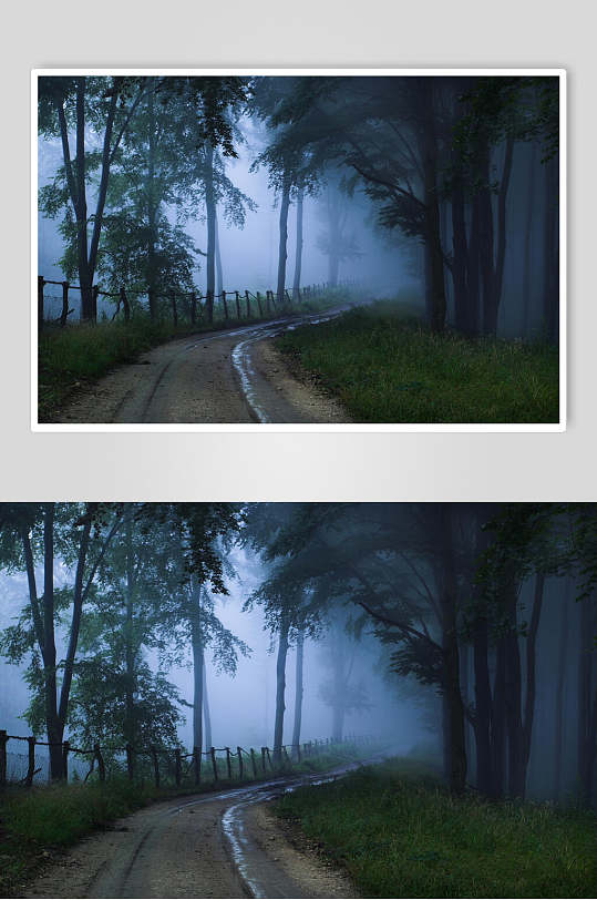 木栅栏树木草地意境绿薄雾森林图片