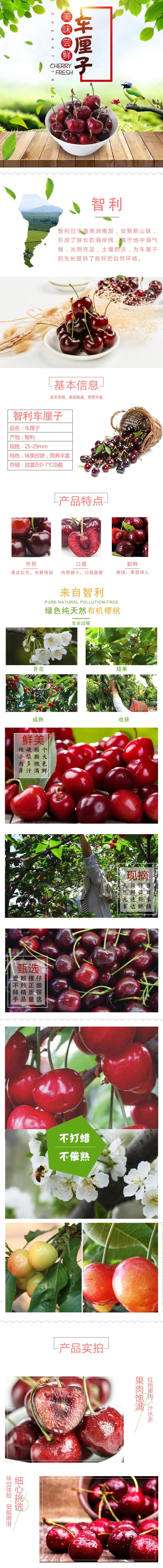美味车厘子水果手机版详情页素材