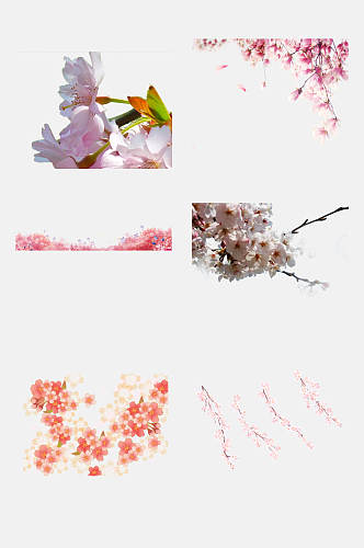 叶子树枝粉橙樱花花朵手绘免抠素材