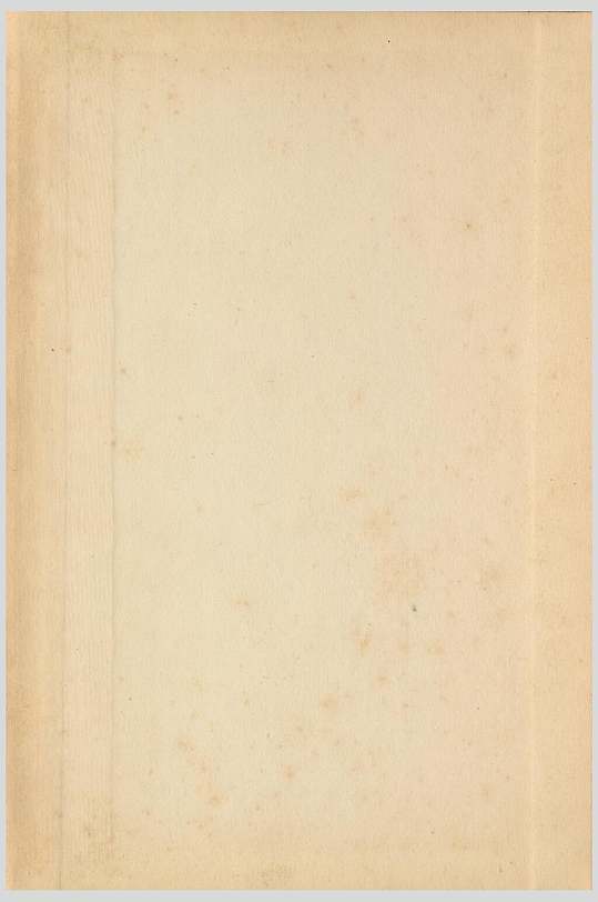 淡雅牛皮纸纹理图片