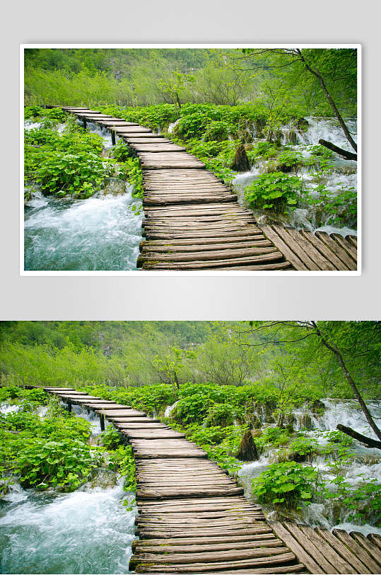 林荫小道小桥流水图片