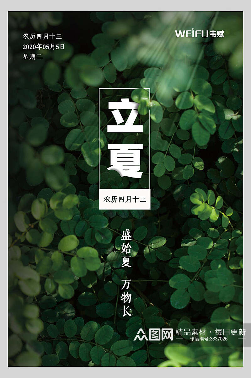 绿叶清新立夏节气海报素材