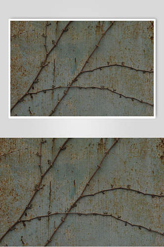 植物裂痕简约金属锈迹背景纹理图片