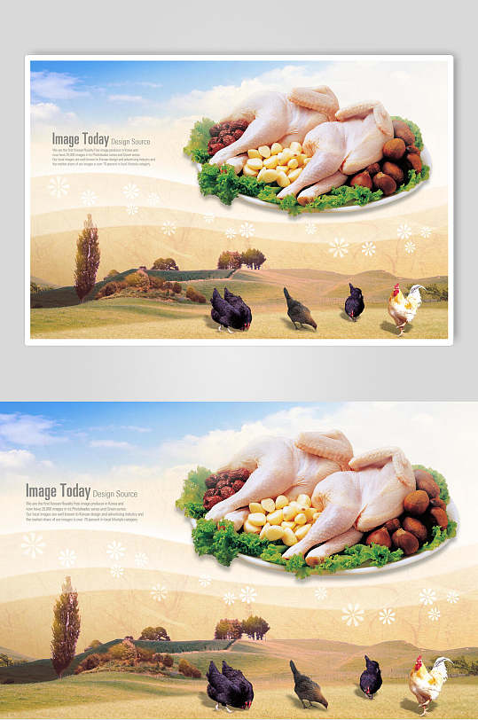 鸡肉海报图片-鸡肉海报设计素材-鸡肉海报模板下载-众图网