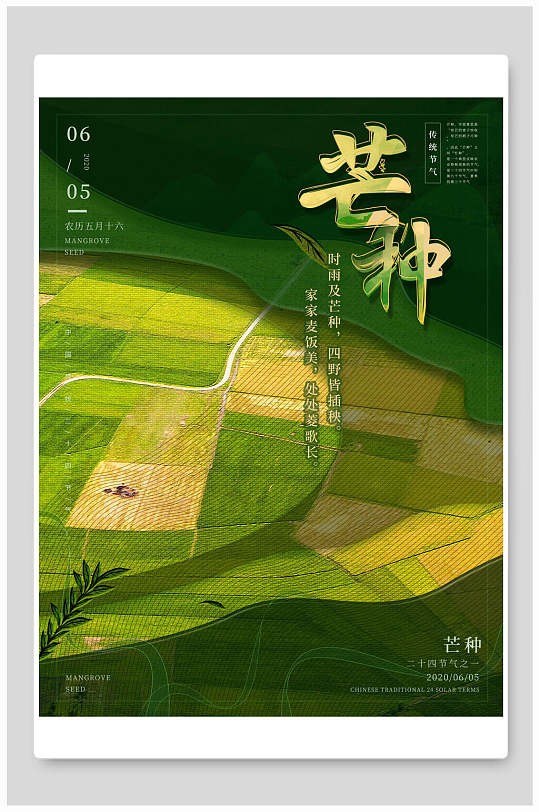 经典乡村田野芒种海报
