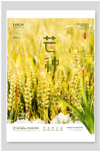 芒种小麦插画海报