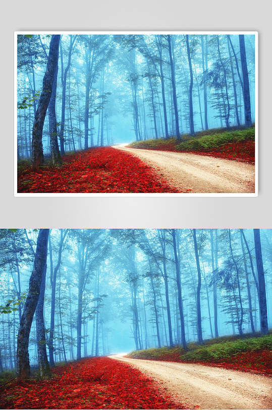绿色红色视觉冲击薄雾森林图片