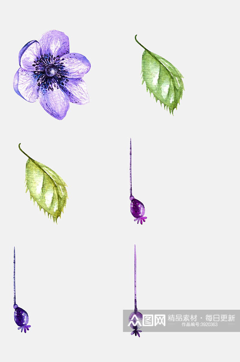 高端创意紫色花鸟植物免抠素材素材