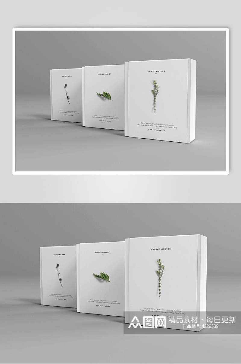 植物立体白小清新礼盒展示样机素材
