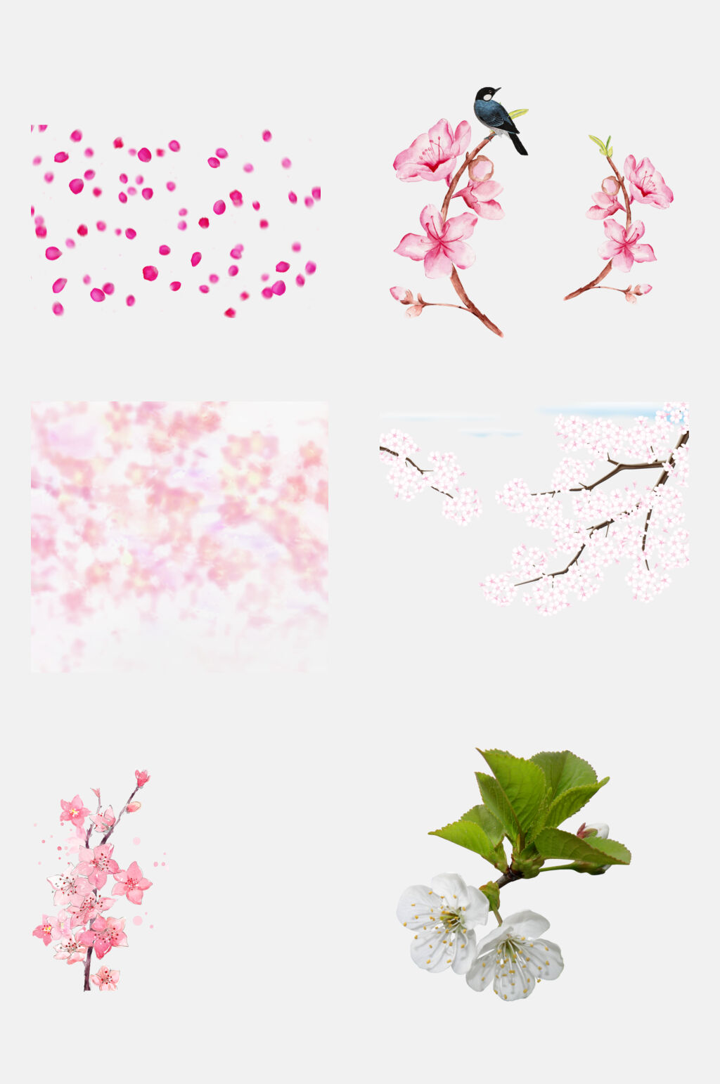 叶子卡通治愈樱花花朵手绘免抠素材素材