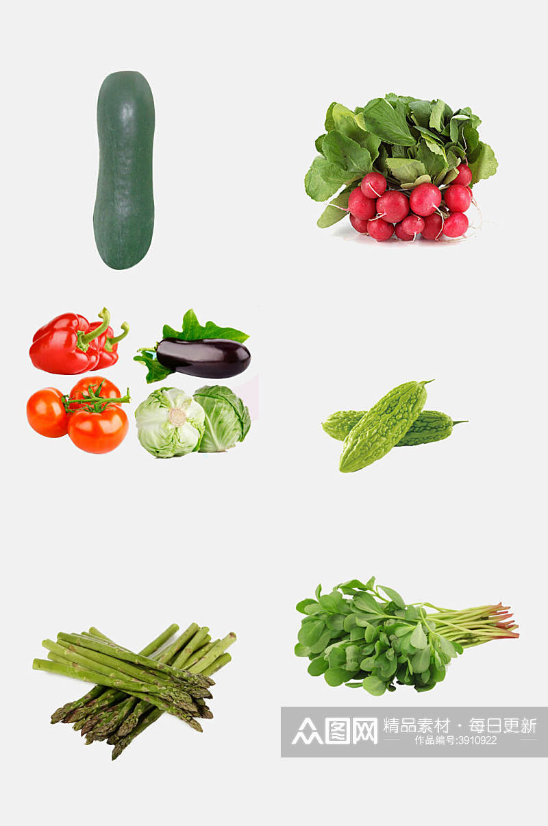高端菠菜各种蔬菜免抠素材素材