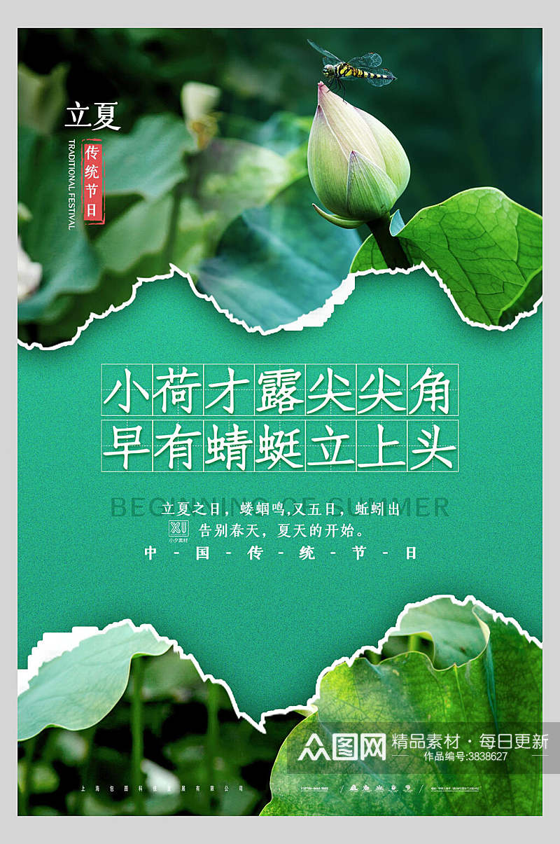 小荷才露尖尖角早有蜻蜓立上头立夏节气海报素材