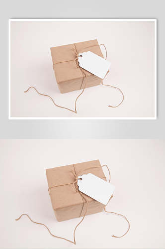 创意牛皮纸包装吊牌设计样机