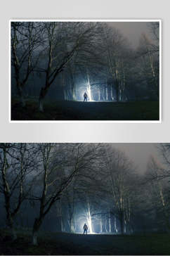 恐怖薄雾森林图片