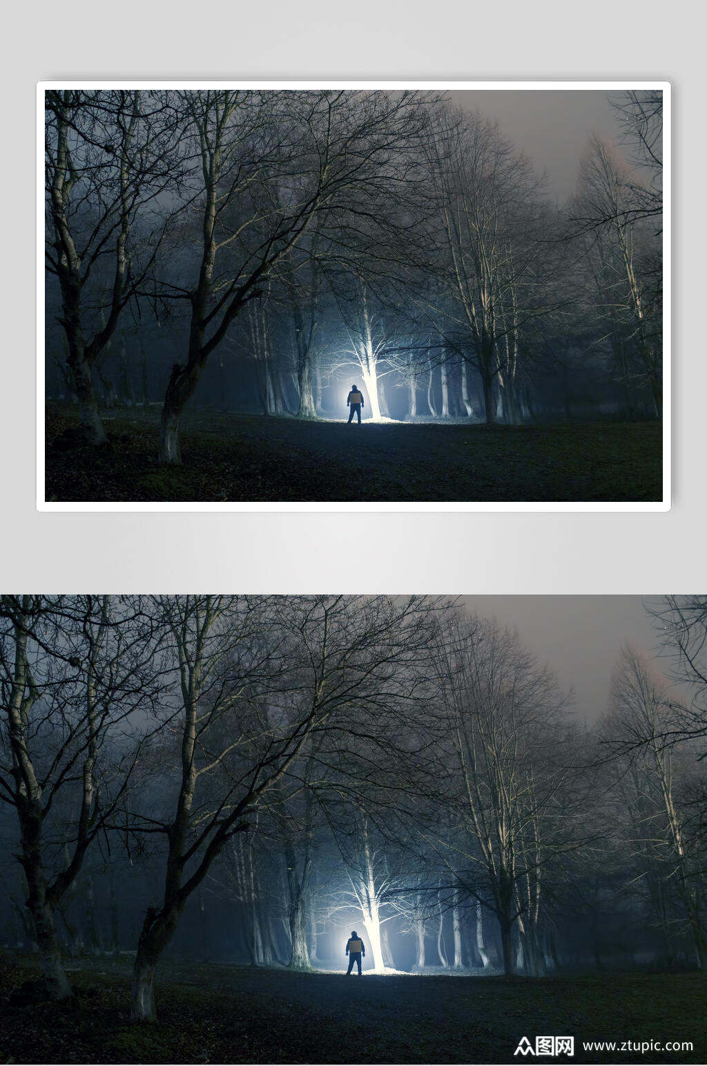 恐怖薄雾森林图片