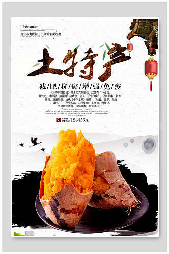 中国风土特产宣传海报