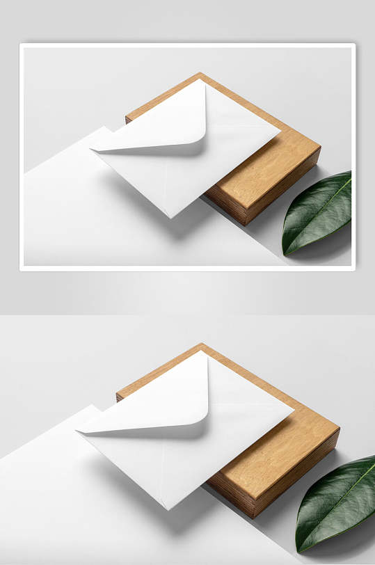 信封植物高端大气信封卡片vi样机