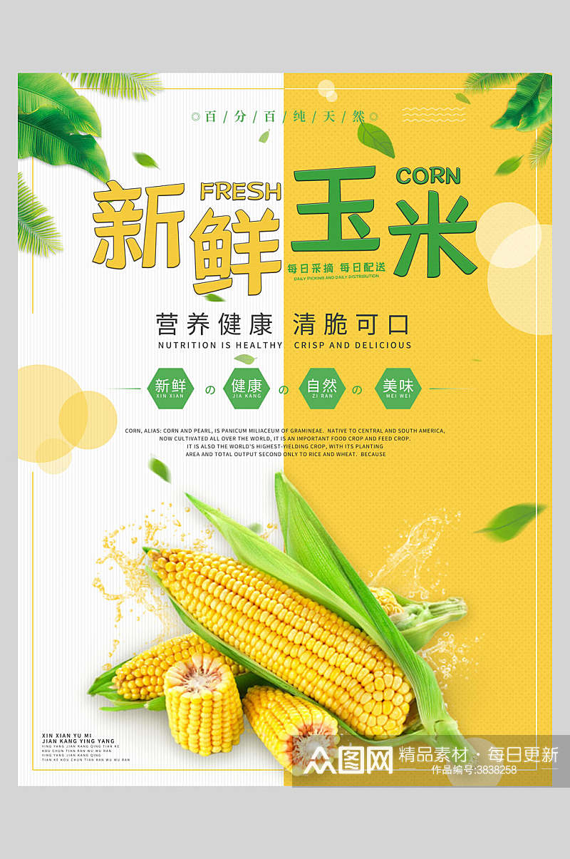 新鲜玉米美食宣传海报素材