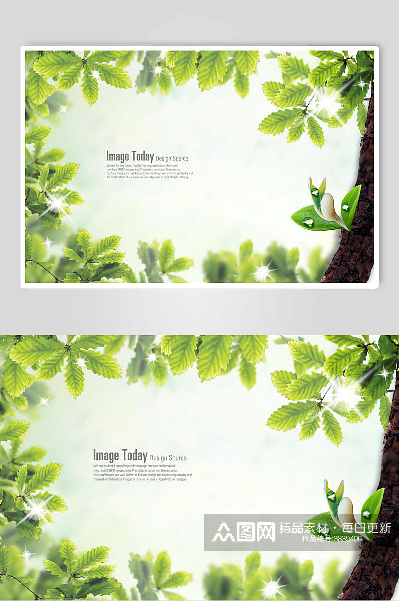 清新绿叶边框创意春天海报素材