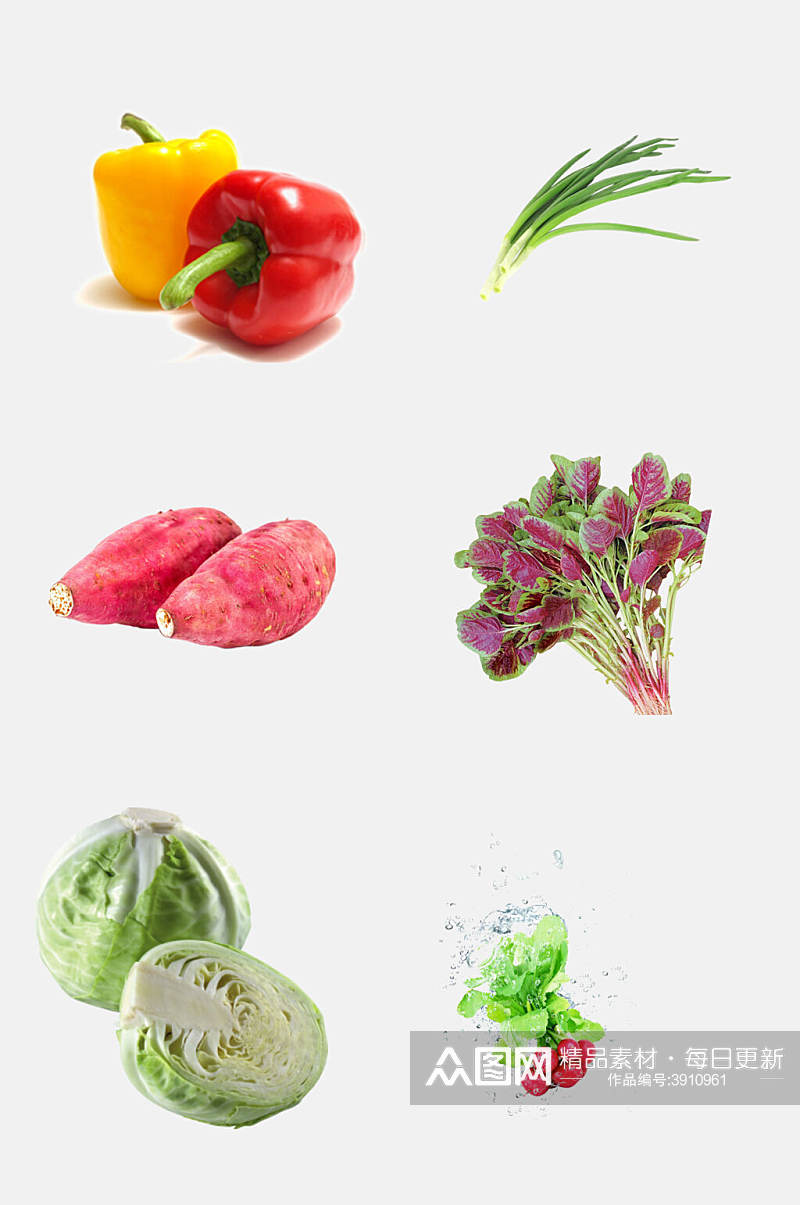 创意红苋菜各种蔬菜免抠素材素材