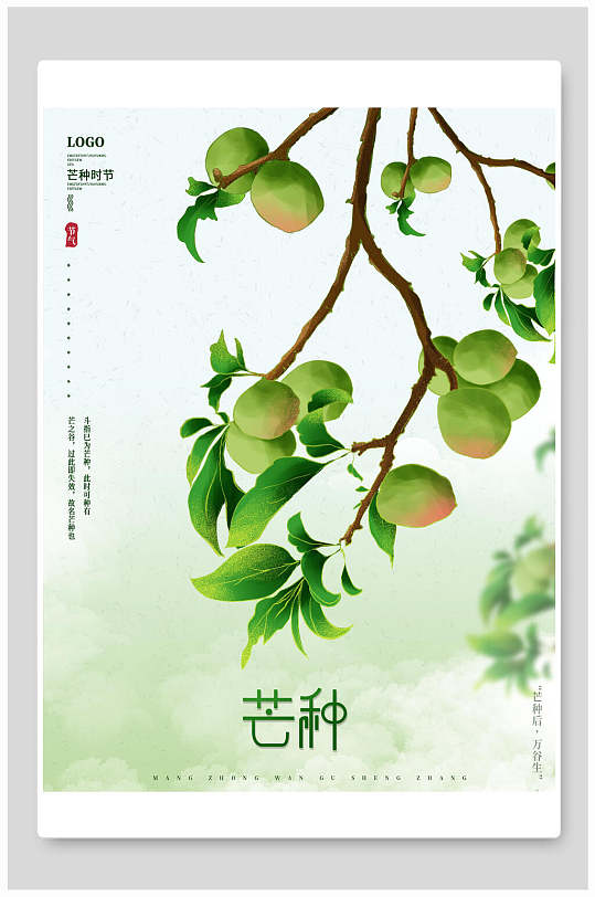 清甜李子树芒种海报