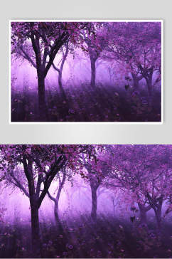 紫色薄雾森林图片