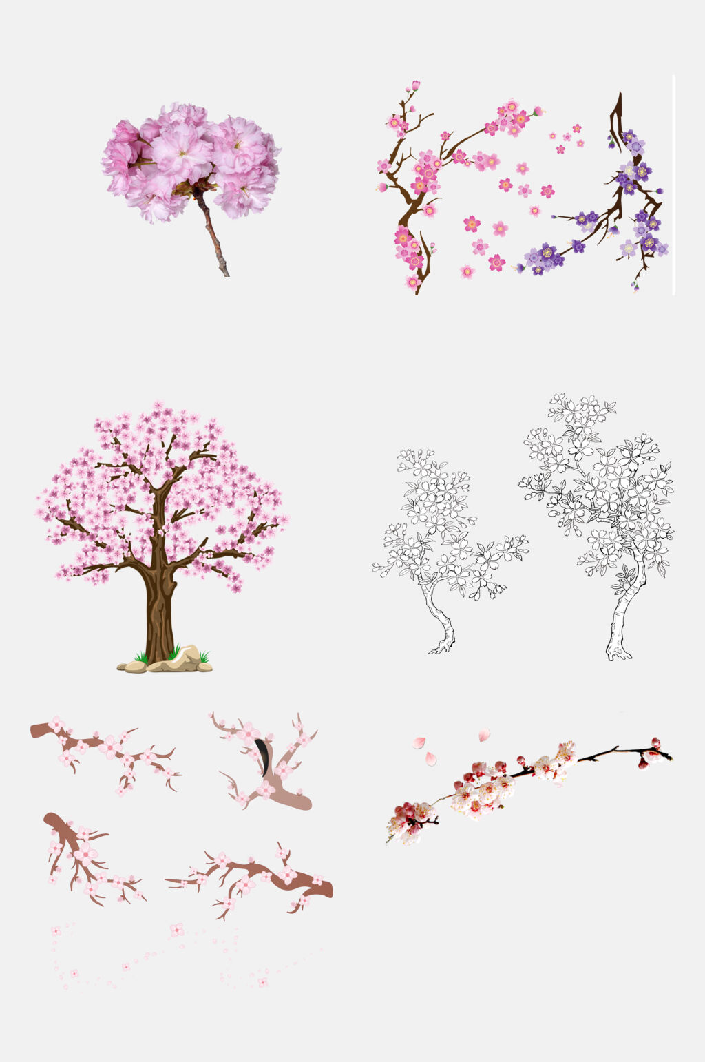 数值唯美优雅樱花花朵手绘免抠素材素材
