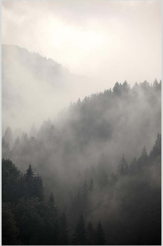 意境山间树木天空优雅薄雾森林图片